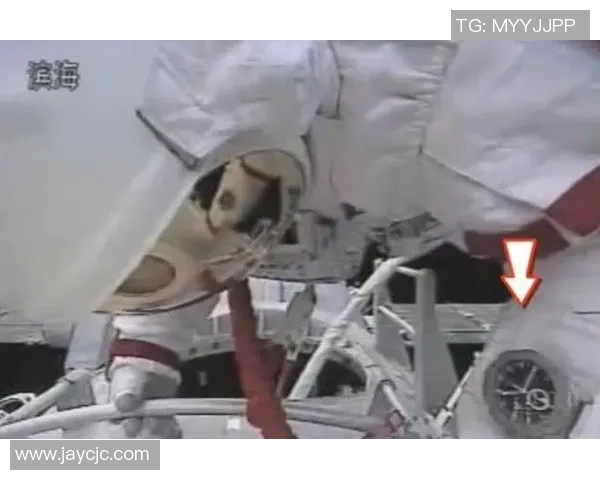 太空鼠重返地球中国空间站第九批科学实验样品成功回归